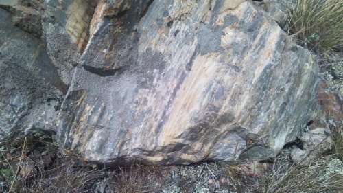 Гигантские зелёные валуны для ландшафтного дизайна весом более 5 тонн купить в Самаре