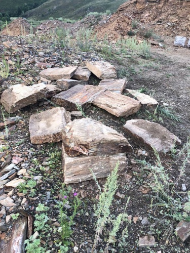 Плитняк кора дерева 50-100мм для пошаговых дорожек купить в Самаре